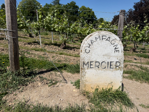 Vidange fosse septique Meyzieu